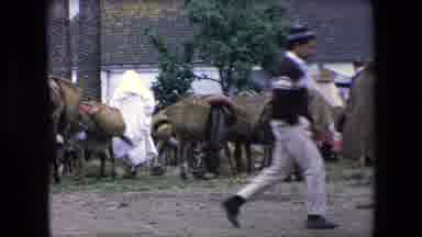 Algeria (1971): Man Walks By Horses And People With Hoods