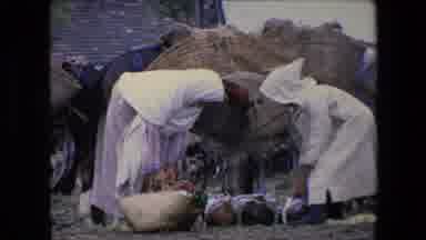 Algeria (1971): Two Women Wearing Hoods Tending To Chickens, Another Woman With A