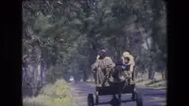 Algeria (1971): Horse Travel On Cart