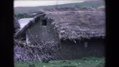 Algeria (1971): Old House With Sheep Outside