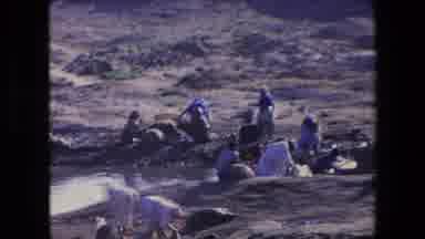 Algeria (1971): People Cleaning Garbage From Desert And Water