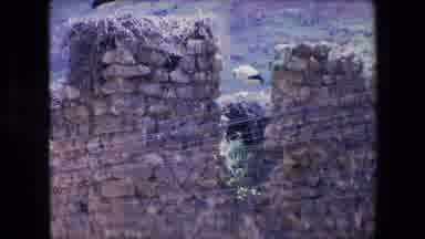 Algeria (1971): Birds On Walls