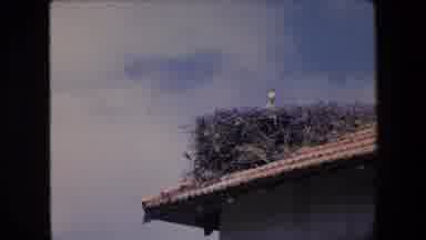 Algeria (1971): Roof And Aerial Shot Of House