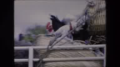 Algeria (1971): The Turkey Van