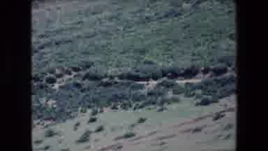 Algeria (1971): Nature And Grass Place