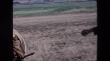 Algeria (1971): Man In Suit Talking To Man With Animals