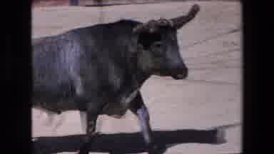 Barcelona Spain (1971): Bull Charging Another Person