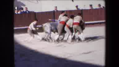 Barcelona Spain (1971): People Trying To Stop A Bull