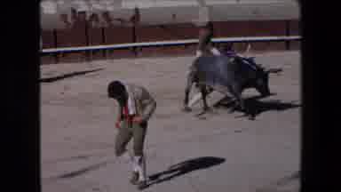 Barcelona Spain (1971): Man Holding Onto Bull By The Tail