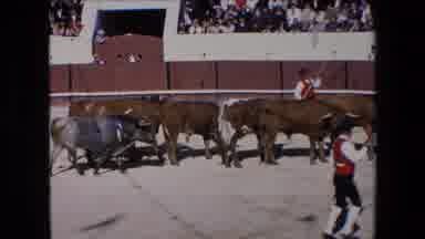 Barcelona Spain (1971): Bullfighting Shows How Tough It Is