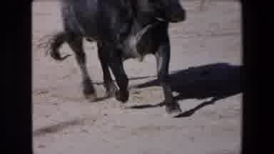Barcelona Spain (1971): Mexican Bullfight Ring Entertainment
