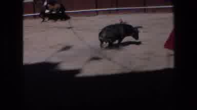 Barcelona Spain (1971): Bullfighter Dodging A Charging Bull In Dirt Arena