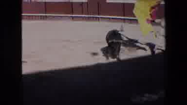 Barcelona Spain (1971): Bull Stadium Mantador Scary Charging Hit Fell Outside
