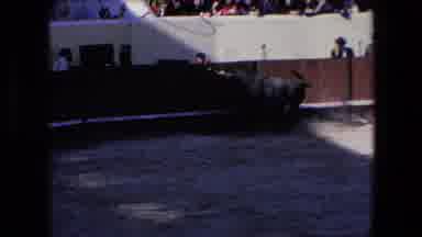 Barcelona Spain (1971): Collected Bulls Where People Win Money With Bets According