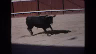 Barcelona Spain (1971): Bull Rider On Horse Getting Charged By Bull