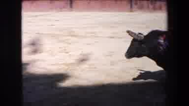 Barcelona Spain (1971): Distracted Bullfighter Taking A Horn From A Black Bull
