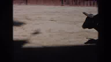Barcelona Spain (1971): Bullfighter Gets Gored And Flipped Over By A Big Black