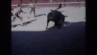 BARCELONA SPAIN-1971: Young Matadors Confront Black Bull In Arena