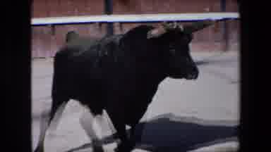 Barcelona Spain (1971): A Black Bull Charges A Matador With A Pink And Yellow Cape
