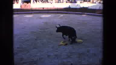 Barcelona Spain (1971): Bullfighter Face An Angry Bull