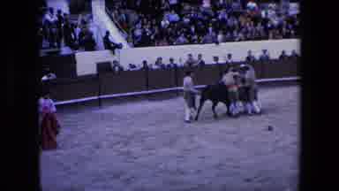 Barcelona Spain (1971): Men Holding A Bull And The Background Of A Lake