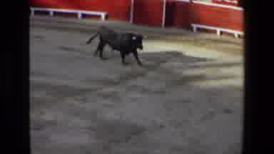 Mazatlan Mexico (1972): Bullfighting In Spain
