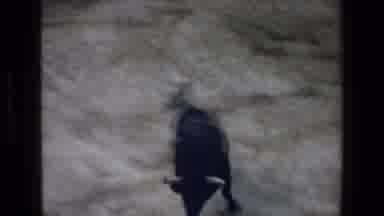 Mazatlan Mexico (1972): Bull Fighter In Ring Taunting