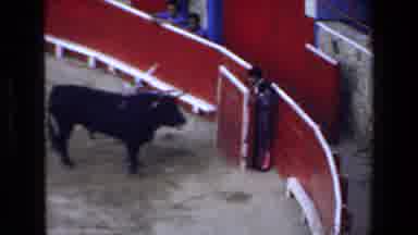Mazatlan Mexico (1972): Bull Has Matador Cornered