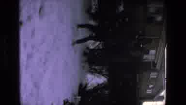 Mazatlan Mexico (1972): Excited Dog Jump Play Frozen Garden Men Winter Throwing