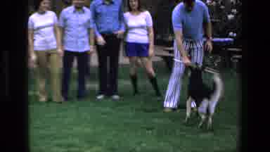 Mazatlan Mexico (1972): A Man With His Family Playing With A Dog And His Stick