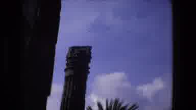 Rome Italy (1973): Column Building With Palm Tree