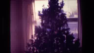 Hollywood California USA (1981): Christmas Tree In Living Room After Holiday