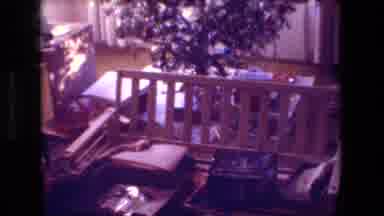 Hollywood California USA (1981): This Seems To Show A Sad Christmas Tree And A