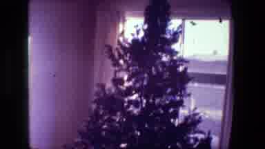Hollywood California USA (1981): Dad Is Cleaning Up The Christmas Tree