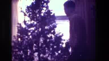 Hollywood California USA (1981): A Man Examines The Branches Of His Christmas Tree