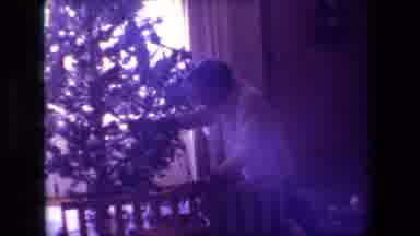 Hollywood California USA (1981): A Man Taking Decorations Off Of A Tree