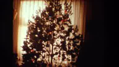 Lansing Michigan (1981): Person Viewing Decorated And Lighted Christmas Tree In