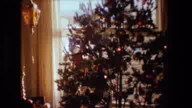 Lansing Michigan (1981): Christmas Tree Is Looking Good