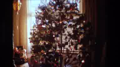 Lansing Michigan (1981): Christmas Tree Indoors In Front Of A Window And A Man Is