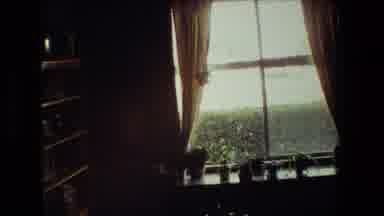 MALIBU CALIFORNIA USA-1981: Staring Out A Window With Christmas Tree