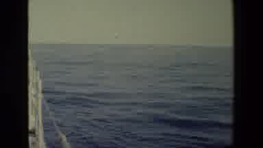 San Diego Naval Base (1981): A Short View Of The Water Surrounding A Boat In A