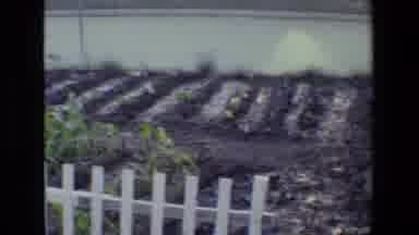 San Antonio Texas-1982: Woman With Child Showing Garden And Yard
