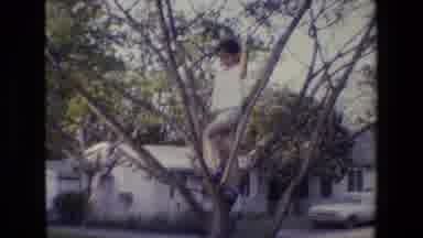 San Antonio Texas (1982): Child In Tree