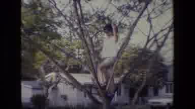 San Antonio Texas (1982): Little Girls Playing Outside Climbing In A Tree