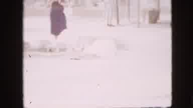 Pennsylvania USA (1958): Woman Watching Two Flamingos As A Third Moves Past