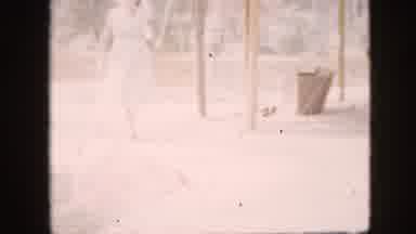 Pennsylvania USA (1958): Large Birds Wandering Around Near A Gift Shop Or Similar