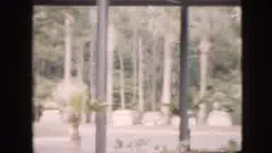 Pennsylvania USA (1958): Plants Placed In An Order Near A Building