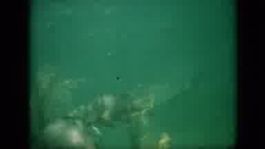 Pennsylvania USA (1958): Underwater Camera Takes Video2 Fish Swim Past The Camera