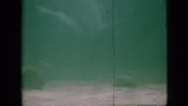 Pennsylvania USA (1958): Underwater Action With Various Fish Swimming And Someone