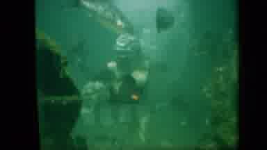 Pennsylvania USA (1958): Feeding The Fish At The Aquarium